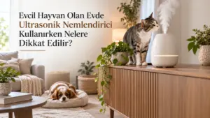 Evcil Hayvan Olan Evde Ultrasonik Nemlendirici Kullanırken Nelere Dikkat Edilir?