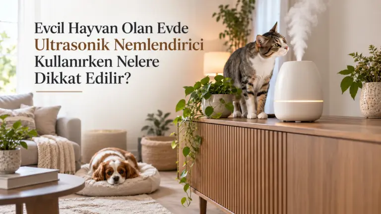 Evcil Hayvan Olan Evde Ultrasonik Nemlendirici Kullanırken Nelere Dikkat Edilir?